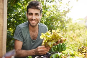 Plantas para iniciantes: como ganhar mais dinheiro com sua horta caseira.