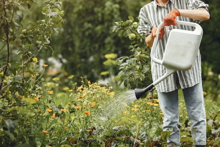 Horta Caseira: 6 melhores ferramentas básicas para começar 17 Regador para irrigação precisa em horta caseira
